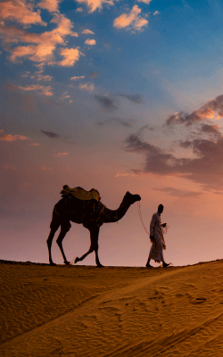 Camel safari Jaisalmer